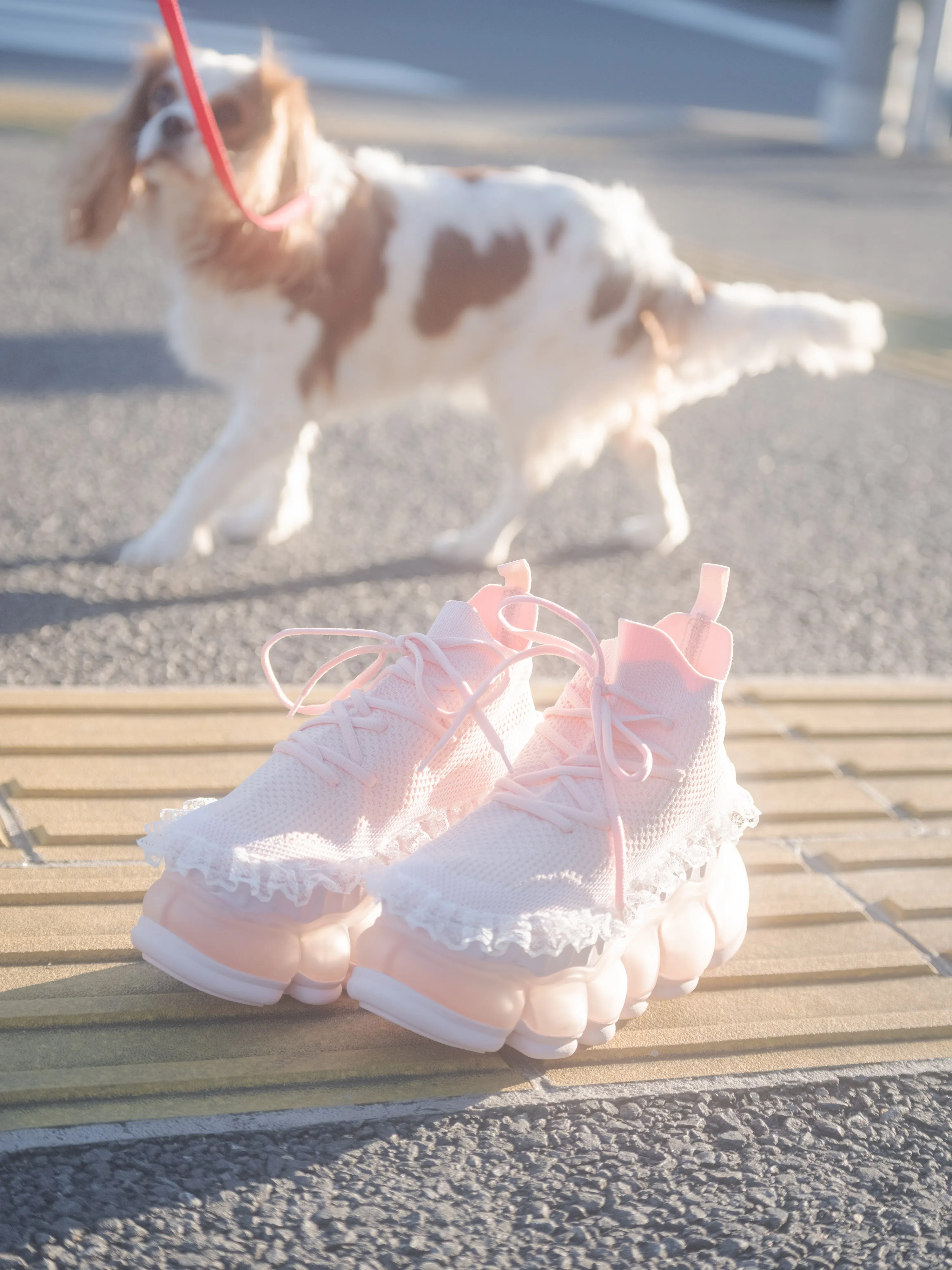 New “Jewelry” Shoes Tarte lace / Nude Pink